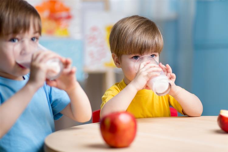Escolas têm de ter leite sem lactose